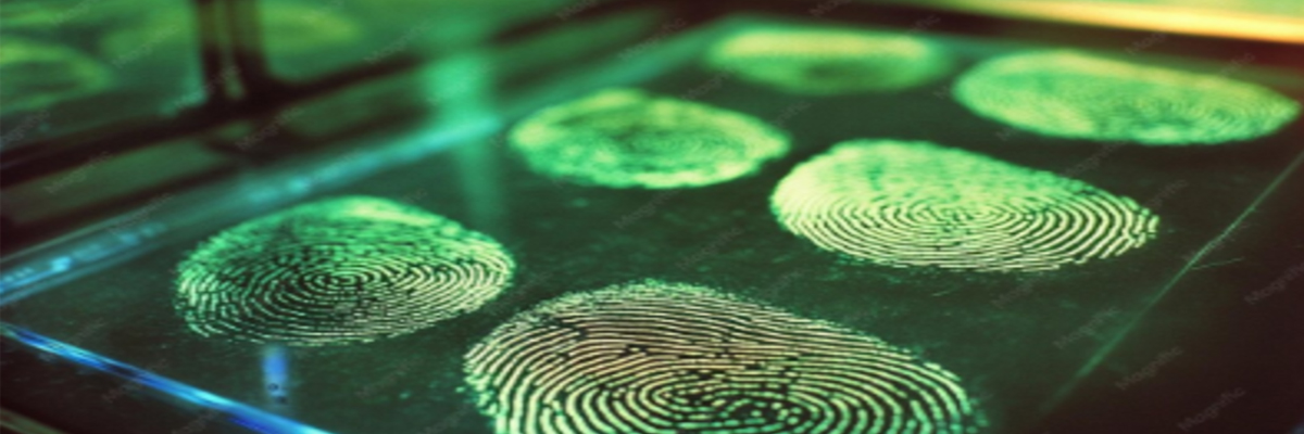How Fingerprint Forensics Supports Private Detectives and Legal Proceedings